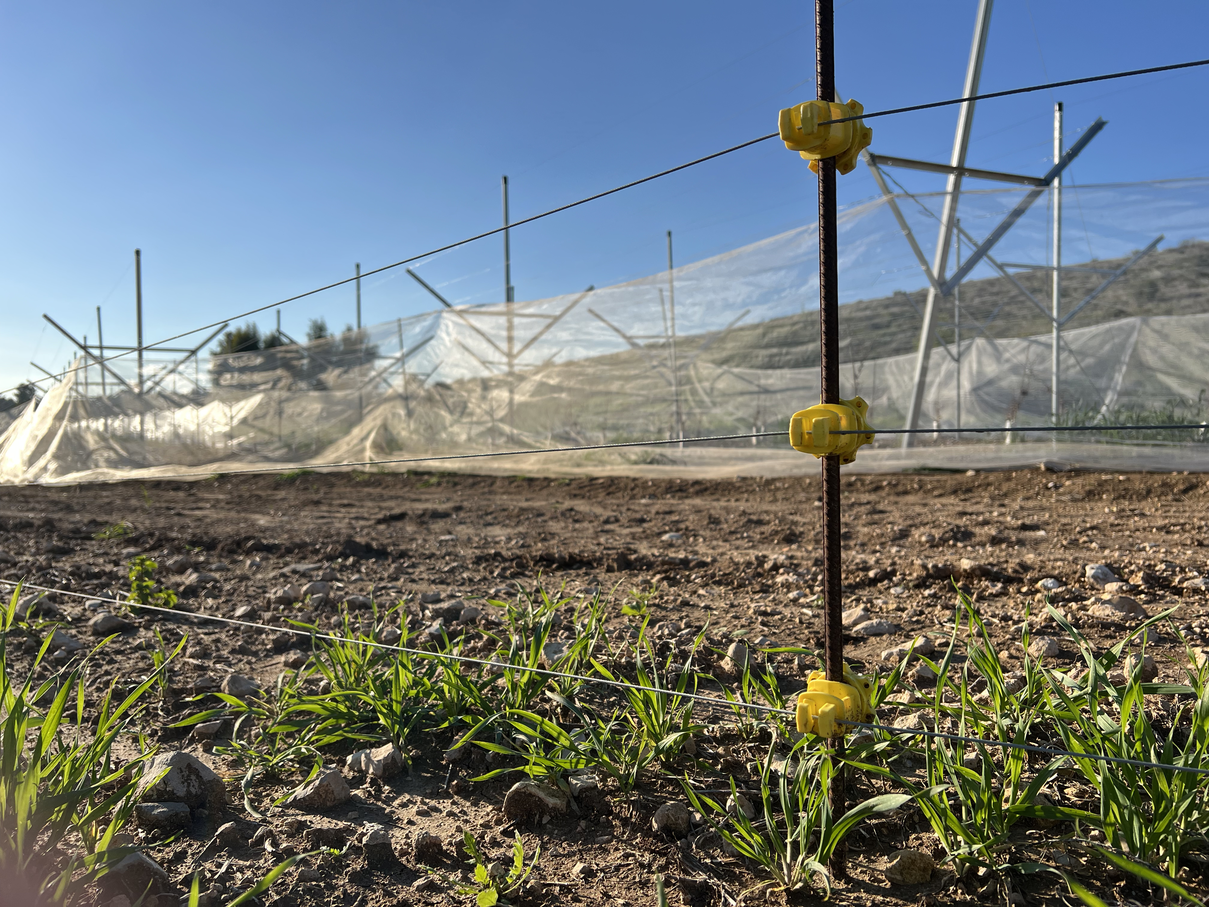 גדר חשמלית לחקלאות - הגנה על מטעים וכרמים מחזירי בר | גייטקיפ